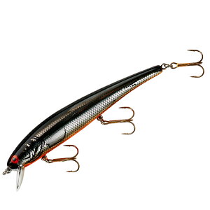 yS19Fz X~X {[}[ OA B15A 11.9cm@3 (A[) 䂤pPbg