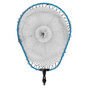 _C fBOlbgFL 35 u[ (ʘg ֖ fBOlbg)