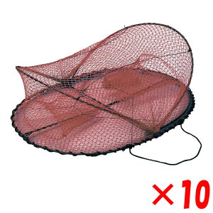 lc v} Jj 10Zbg AFA111 (Jj JjJS Jj)