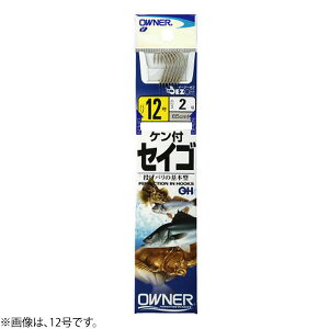 I[i[ OHPtZCS 20174 (ZCStj) 䂤pPbg