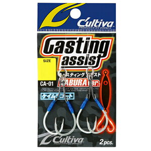 I[i[ LXeBOAVXgiuver. CA-01 (AVXgtbN) 䂤pPbg