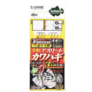 ߐj DAX[gJnM3{b(TCtbf) FSM25 (d| JnM) 䂤pPbg