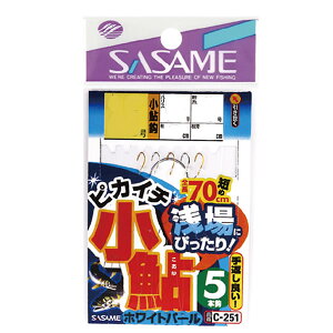 ߐj sJC` zCgp[5{b C-251 (d|) 䂤pPbg