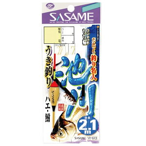ߐj r 삤ނ2.1m W-613 (d|) 䂤pPbg
