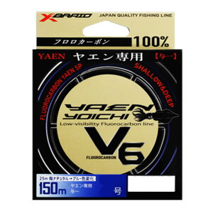  XBRAID GpYOICHI (^)V6 150m (G C tJ[{C XuCh) 䂤pPbg