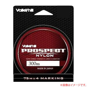 ブラックバス ラインの人気商品 通販 価格比較 価格 Com