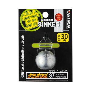 } z^VJ[ ی^ 30 (I) 䂤pPbg