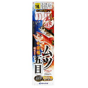 y11/20` Gg[3_P10{z@܂ӂ cܖ 2{j 16-5 D-434 (ˎd|) 䂤pPbg