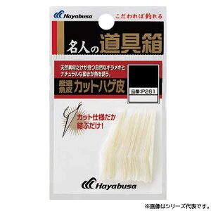 nuT  IJbgnQ P261 (^a) 䂤pPbg