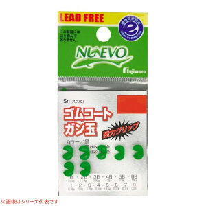 tW SR[gK  (KʁErV) 䂤pPbg