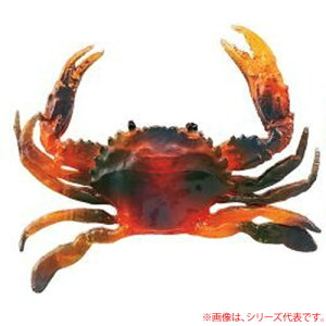 iJW} ^Kj S No.2406 (^RxCg)