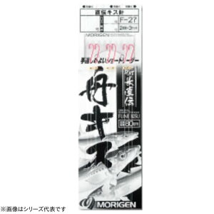 肰 D`MLX(V[g) F-27 (ނ d|) 䂤pPbg