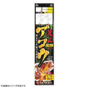 肰 g~AREd| H-704 (hނ d|)