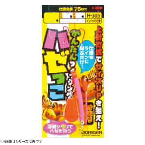 肰 n[ VIt H-306 (ނ d|) 䂤pPbg