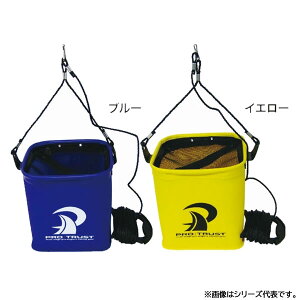 vgXg bV݃oPc EV-46 p21 (R}ZoPc)