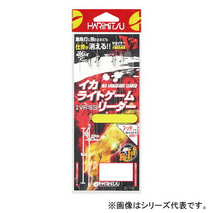 y11/20` Gg[3_P10{z@n~c CJCgQ[[_[ (CJd|) 䂤pPbg