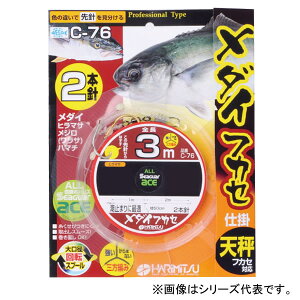 n~c _CtJZ 2{ 3m C-76 (Dނd| DtJZd|) 䂤pPbg
