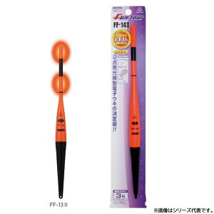 ym _^dqEL(2) FF-13-2 (dCEL)