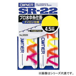 I[i[ vd| iCdl SR-22 (ނ d| iC) 䂤pPbg