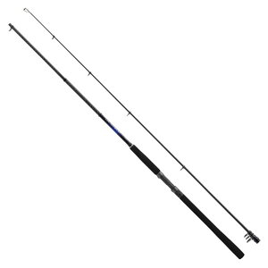 V}m 21 RgXiCp[BB S100MH-T (VAWMO bh)