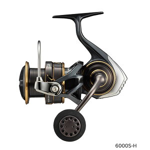 _C 22 CALDIA SW 6000S-H (ItVA WMO [)