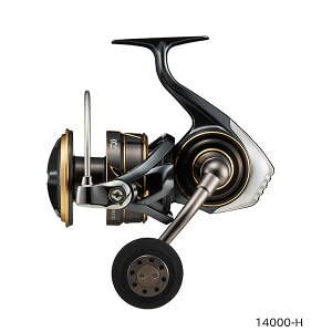 _C 22 CALDIA SW 14000-H (ItVA WMO [)