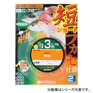 n~c V[gtJZ 2{ 3m C-78 (Dނd| DtJZd|) 䂤pPbg