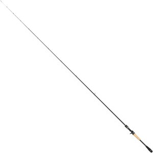 eCEH[N tW (22 f) C66M 15885 (oXbhEo[T^CEI[Eh)(^iB)