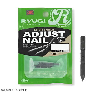 [M RYUGI AWXglCTG FGR R2000 ([VJ[) 䂤pPbg