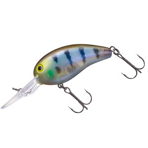 yS10Fz _C s[ibc DDR (oXA[) 䂤pPbg