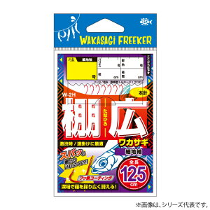 n~c WF ILJTM גn W-2H (d| JTM) 䂤pPbg