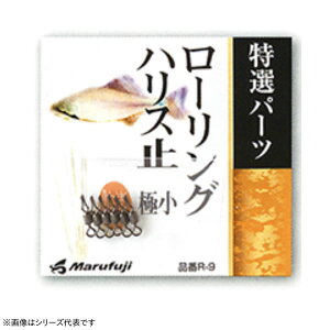 ܂ӂ [OnX~ R9 (XCx) 䂤pPbg