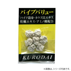 y9/4 20:00` Gg[ōő6000PIz KI-PROJECT pCvo[ (ނGT)
