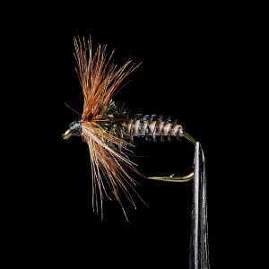 @tbN eJ}X^[ E #18 TM-12 (d|)