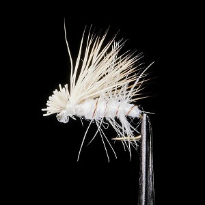 @tbN eJ}X^[ JfBX #18 TM-16 (d|)