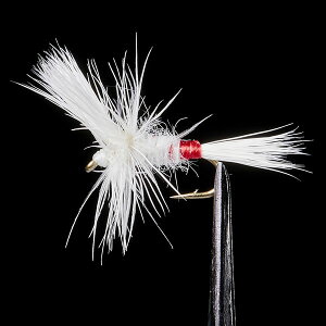 @tbN eJ}X^[ hCeJ #18 TM-17 (d|)