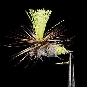 @tbN eJ}X^[ pV[g #18 TM-18 (d|)