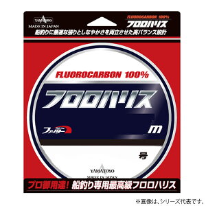 山豊テグス フロロハリス 100m 20号 (ハリス) ゆうパケット可