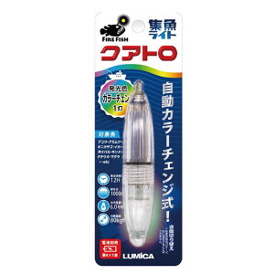 y11/20` Gg[3_P10{z@~J NAg J[`FW^Cv (Cg W WCg)