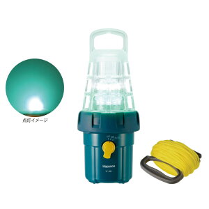 ns\ drPxLEDW YF-501 (W WCg)