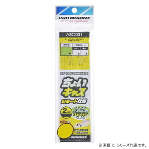 lc v} 傢LXV[gd| 3g ASC031 (ނ d|) 䂤pPbg