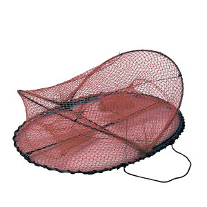 lc v} Jj 20Zbg AFA111 (Jj JjJS Jj)