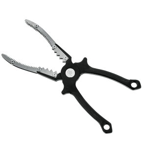 y11/20` Gg[3_P10{z@܂ PA~tBbVObv 19cm LE127 (tBbVObv tBbVLb`[)