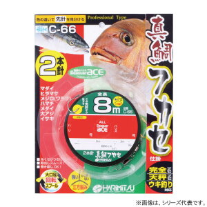 n~c ^tJZ 2{ 8m 12-6 C-66 (Dނd| DtJZd|) 䂤pPbg