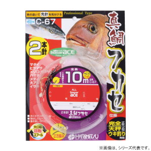 n~c ^tJZ 2{ 10m 12-5 C-67 (Dނd| DtJZd|) 䂤pPbg