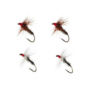 _C eJѐjZbg X^_[hI[V[Y (eJd|)