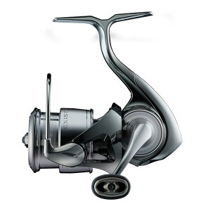 y11/20` Gg[3_P10{z@_C 23 COWXg SF1000S-P (XsjO[)