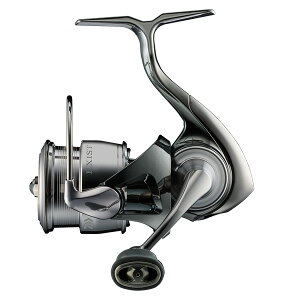 y11/20` Gg[3_P10{z@_C 23 COWXg SF2000SS-P (XsjO[)