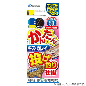 nuT J^LX JCގd| 2{b NT536 (ނ d|) 䂤pPbg