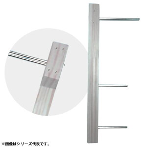 Ntg CJpd| 30cm (d|Ed|)